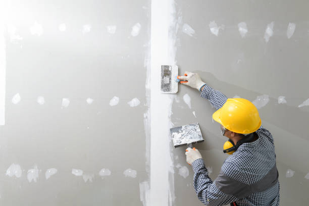  Spiro, OK Mold Removal Pros